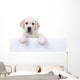 Puppy Dog Holding Sign Wall Decal