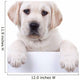 Puppy Dog Holding Sign Wall Decal