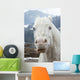 Crazy White Horse Wall Decal