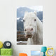 Crazy White Horse Wall Decal