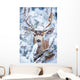 Arizona Mule Deer Wall Decal
