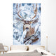 Arizona Mule Deer Wall Decal