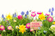 Bunte Blumen Wiese Frohe Wall Decal