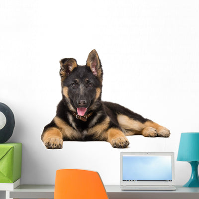 Portrait German Shepherd Puppy Wall Decal shown on a wall