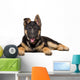 Portrait German Shepherd Puppy Wall Decal