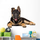 Portrait German Shepherd Puppy Wall Decal