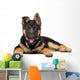 Portrait German Shepherd Puppy Wall Decal