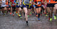 Runners during Marathon While Wall Decal