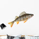 Small Lake Form European Wall Decal