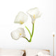 Calla Lily Flowers Wall Decal