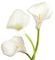 Calla Lily Flowers Wall Decal