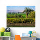 Shore Nile River Egypt Wall Decal