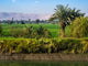 Shore Nile River Egypt Wall Decal