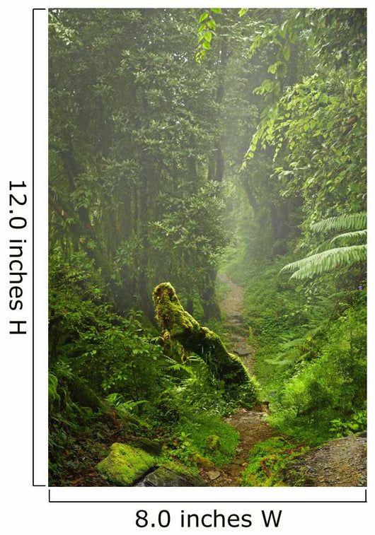 Selva Nepal Wall Decal