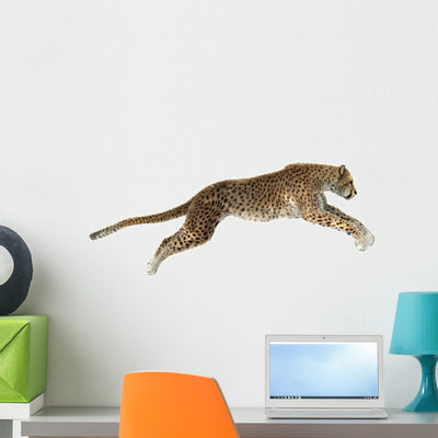 Cheetah Wall Decal Design 7 shown on a wall