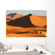 Balade En Dromadaire Dans Wall Decal