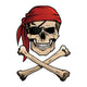Jolly Roger Pirate Skull Wall Decal