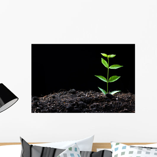 Young Plant Wall Decal