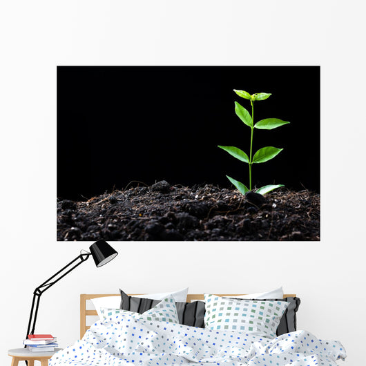 Young Plant Wall Decal