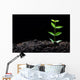 Young Plant Wall Decal
