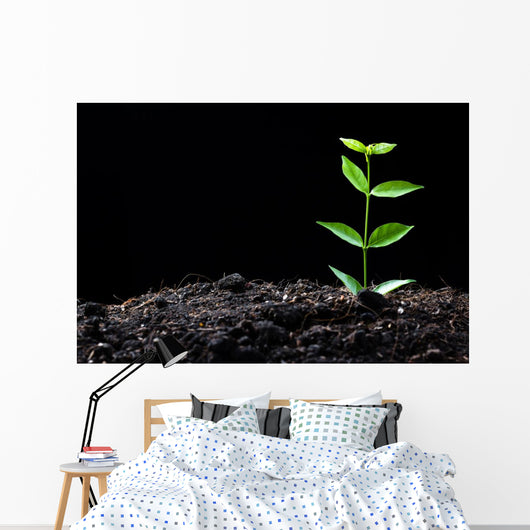 Young Plant Wall Decal