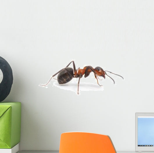 Red Ant Wall Decal