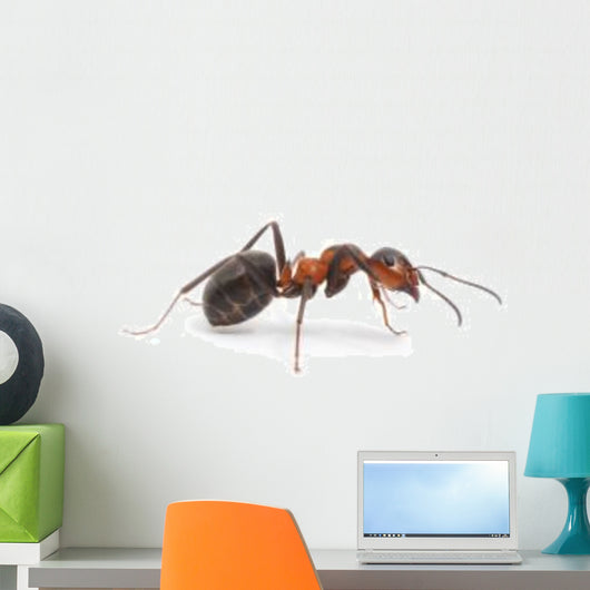 Red Ant Wall Decal