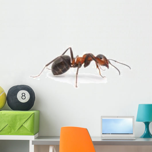 Red Ant Wall Decal