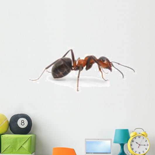 Red Ant Wall Decal