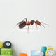 Red Ant Wall Decal
