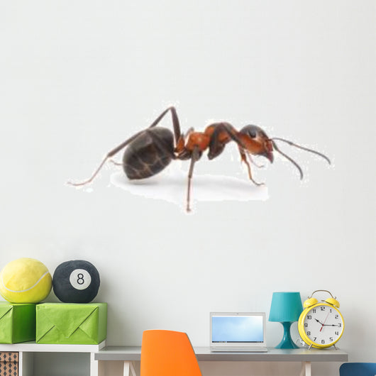 Red Ant Wall Decal