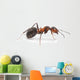 Red Ant Wall Decal