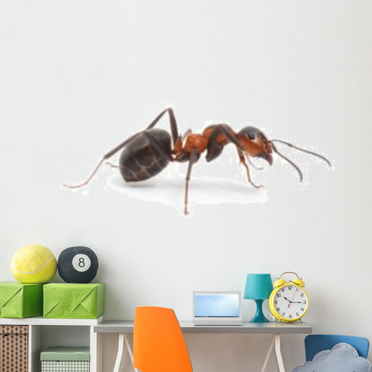 Red Ant Wall Decal