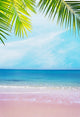 Pink Shore under Palm Wall Decal