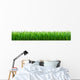 Perfect Spring Grass Wall Decal Panoramic Wall Decal