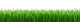 Perfect Spring Grass Wall Decal Panoramic Wall Decal