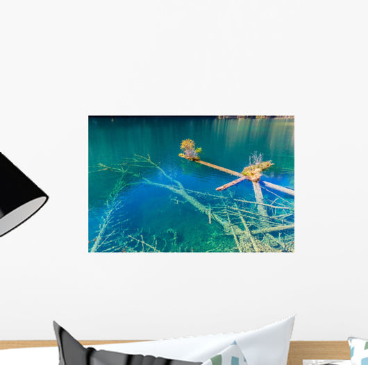 Rotten Wood Unter Colorful Wall Decal
