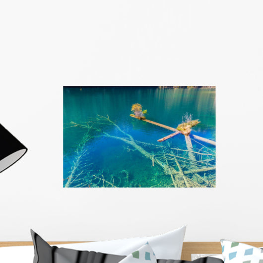 Rotten Wood Unter Colorful Wall Decal