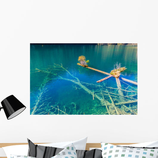 Rotten Wood Unter Colorful Wall Decal