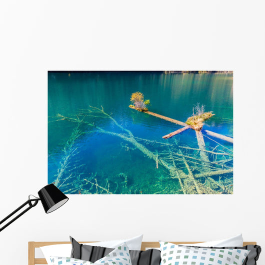 Rotten Wood Unter Colorful Wall Decal