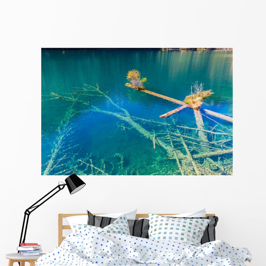 Rotten Wood Unter Colorful Wall Decal