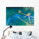 Rotten Wood Unter Colorful Wall Decal
