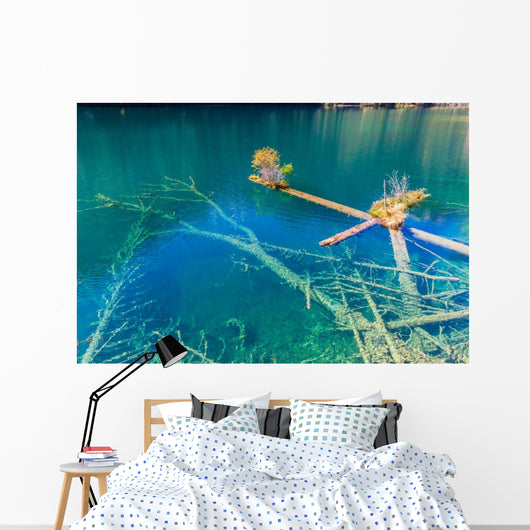 Rotten Wood Unter Colorful Wall Decal