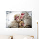 Loving Monkeys Wall Decal