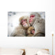 Loving Monkeys Wall Decal
