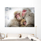 Loving Monkeys Wall Decal