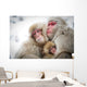 Loving Monkeys Wall Decal