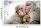 Loving Monkeys Wall Decal