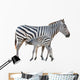 Zebra Was Breastfeeding Wall Decal