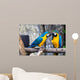 Two Playing Parrots Love Wall Decal